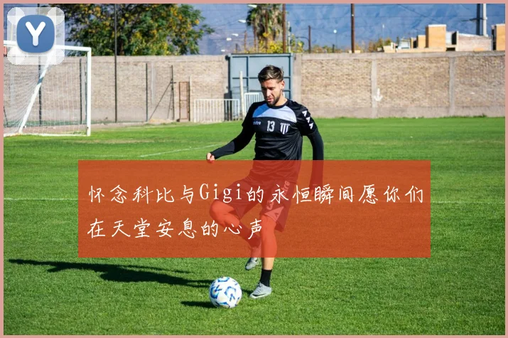 怀念科比与Gigi的永恒瞬间愿你们在天堂安息的心声